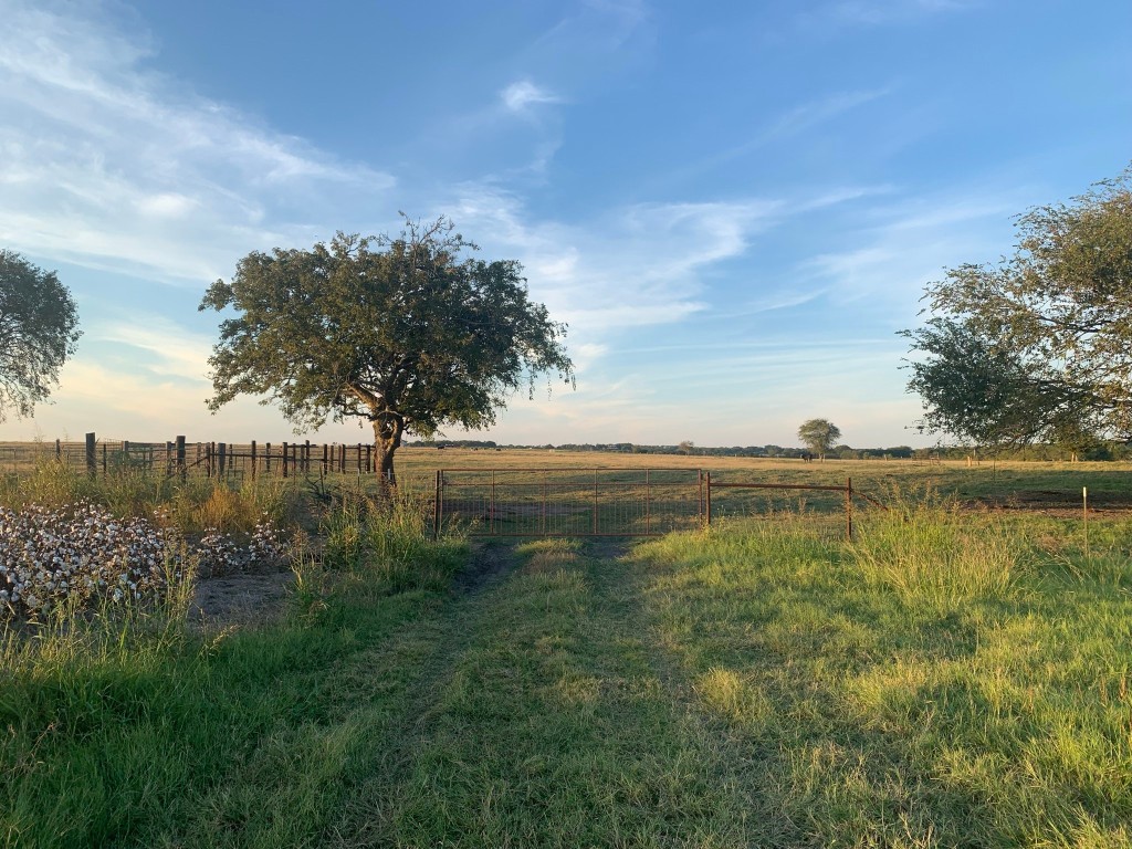 a view of a lake from a yard