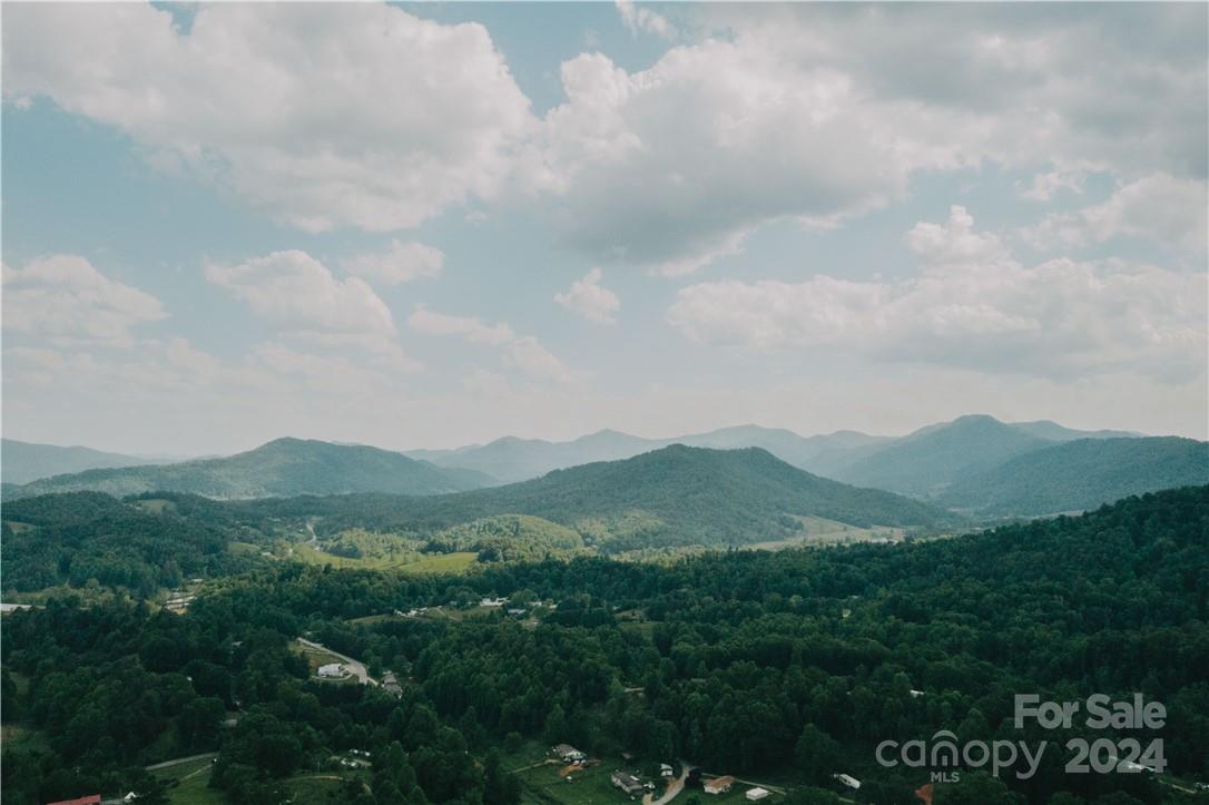 a view of a mountain range with lush green forest