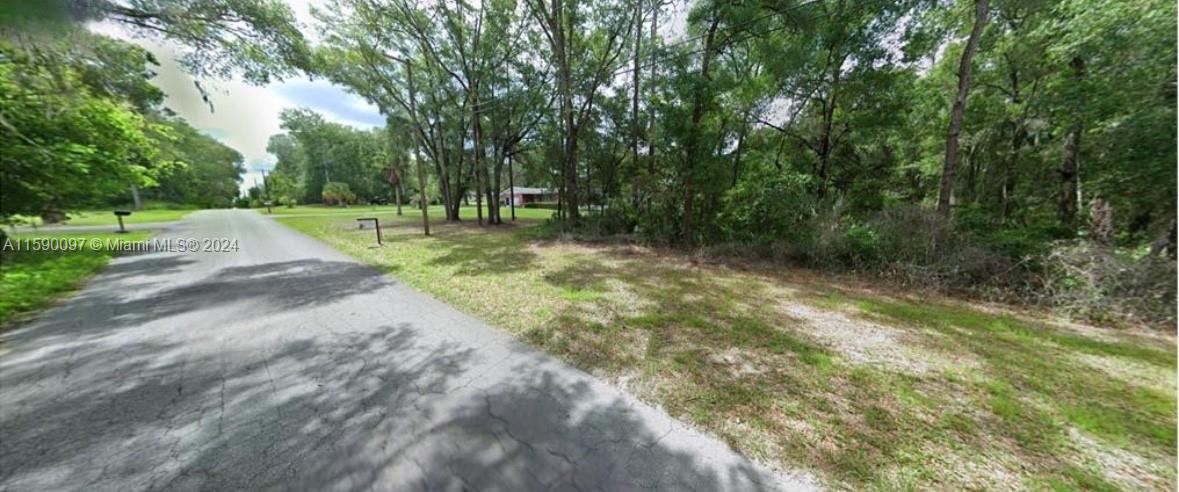 a view of a yard with trees