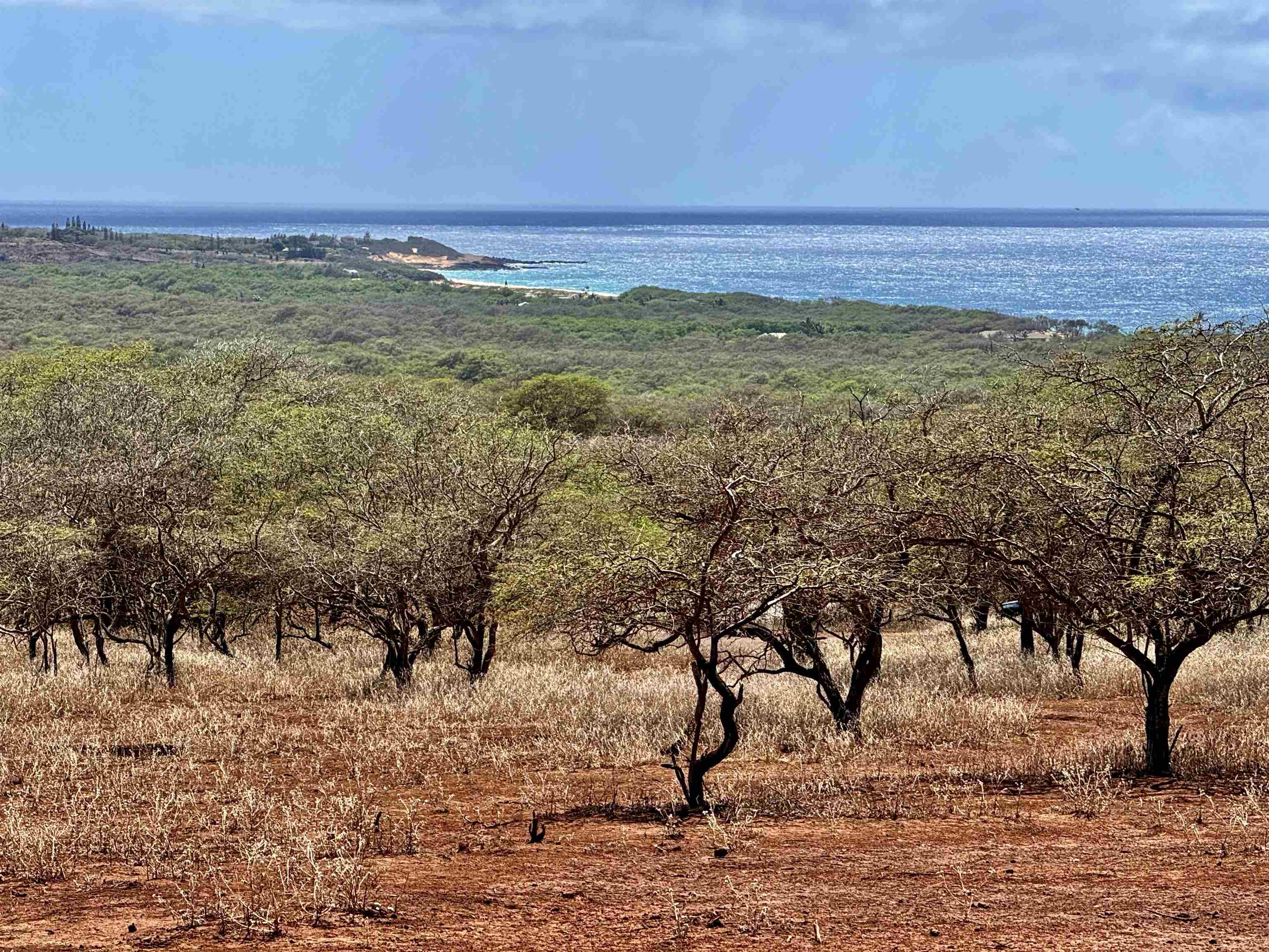 a view of an ocean beach