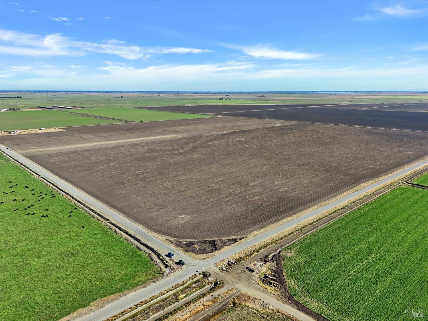 a view of a field with an ocean view