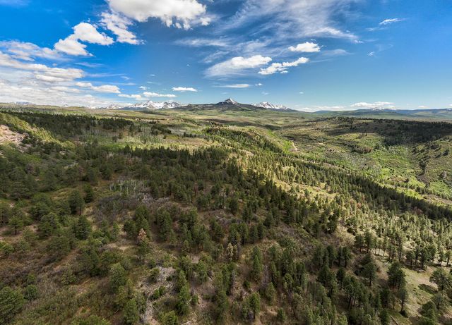 $1,749,000 | M44 Placerville Co 81430 | Specie Mesa Ranch