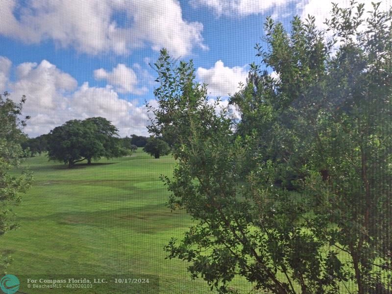 a view of a field with an trees