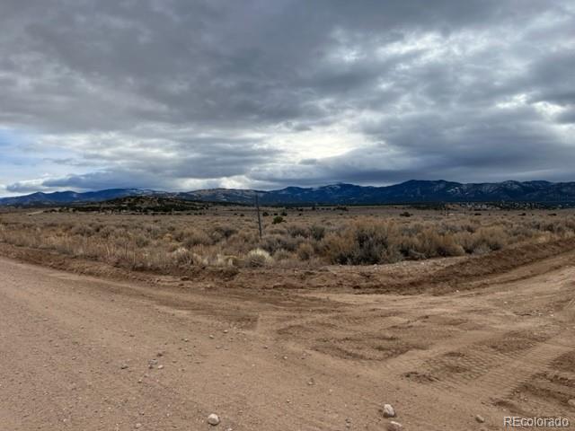 a view of a dry yard with trees