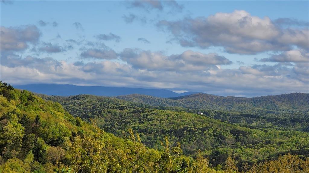 a view of a city with lush green forest