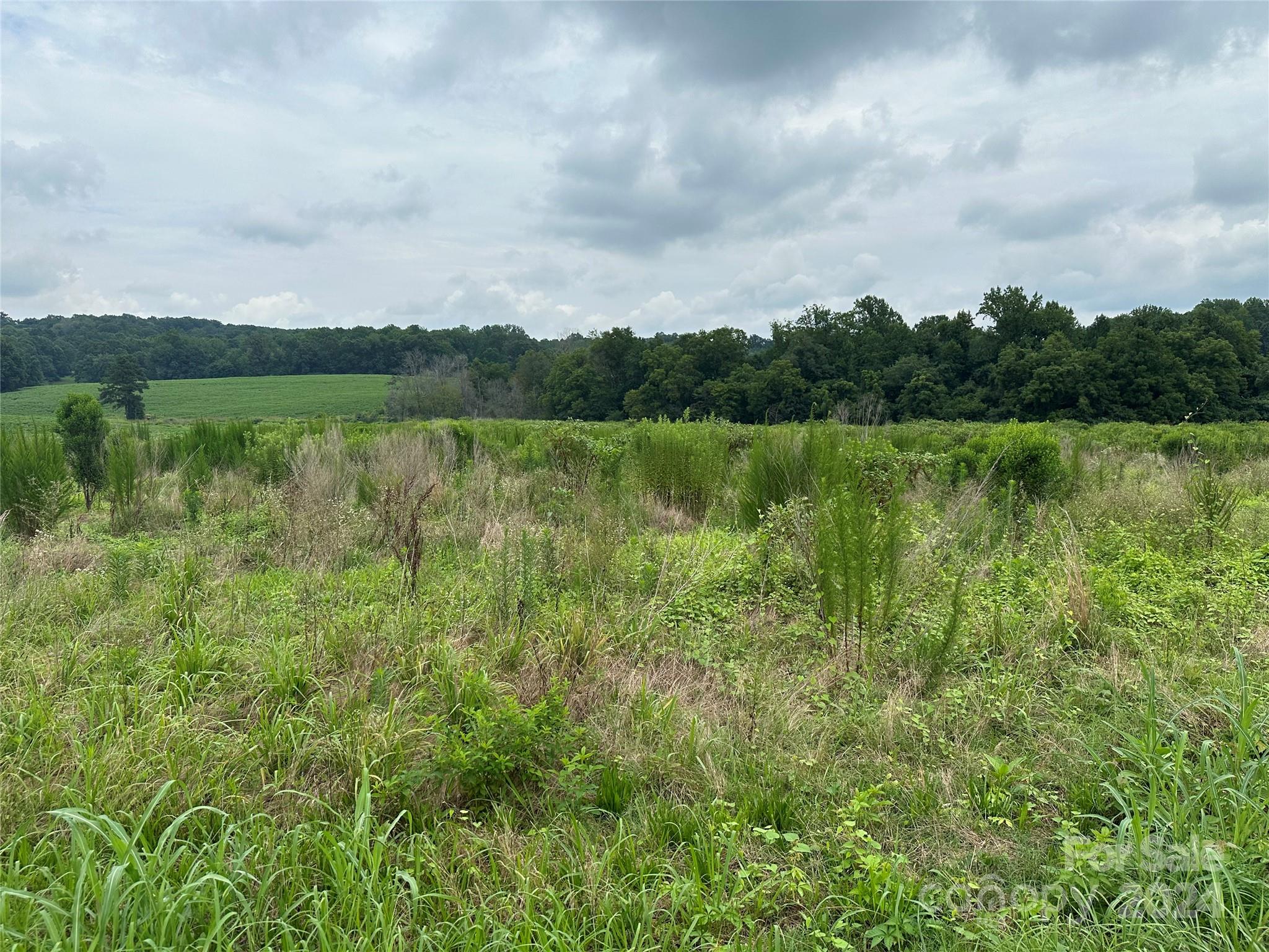 a view of a lake with green landscape