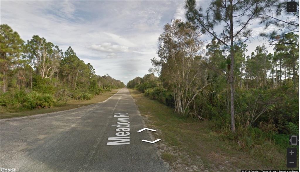 a view of a street view with a trees