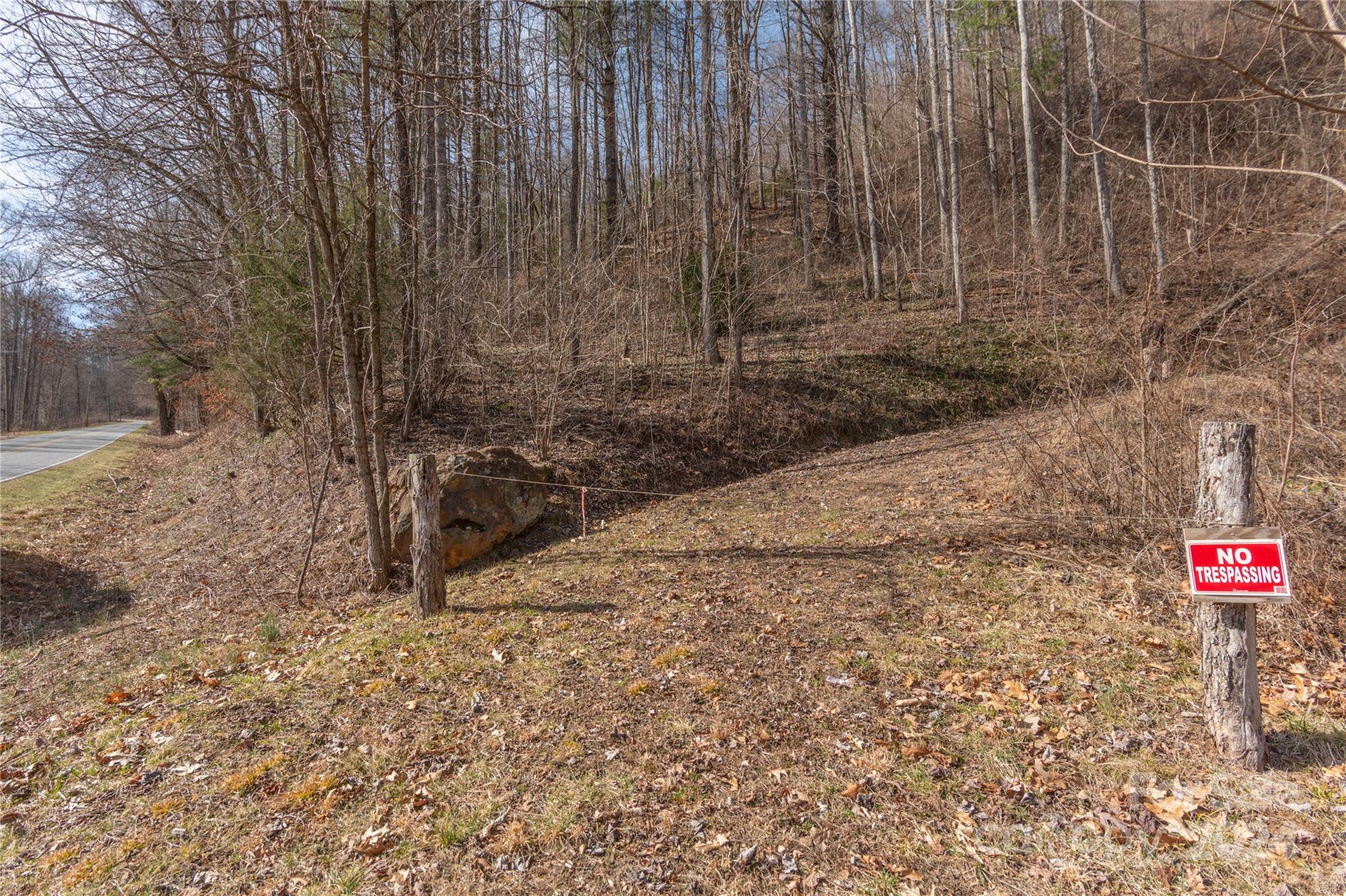 a view of a pathway with a yard