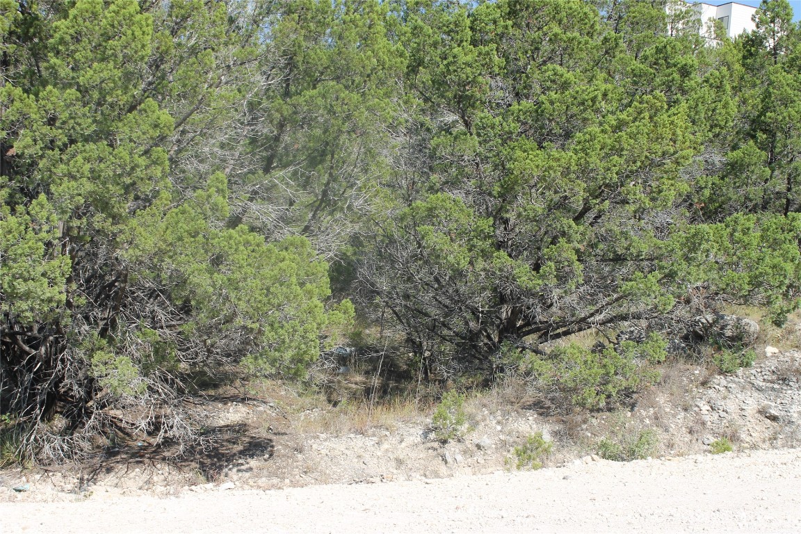 Heavily wooded lot on cul de sac street