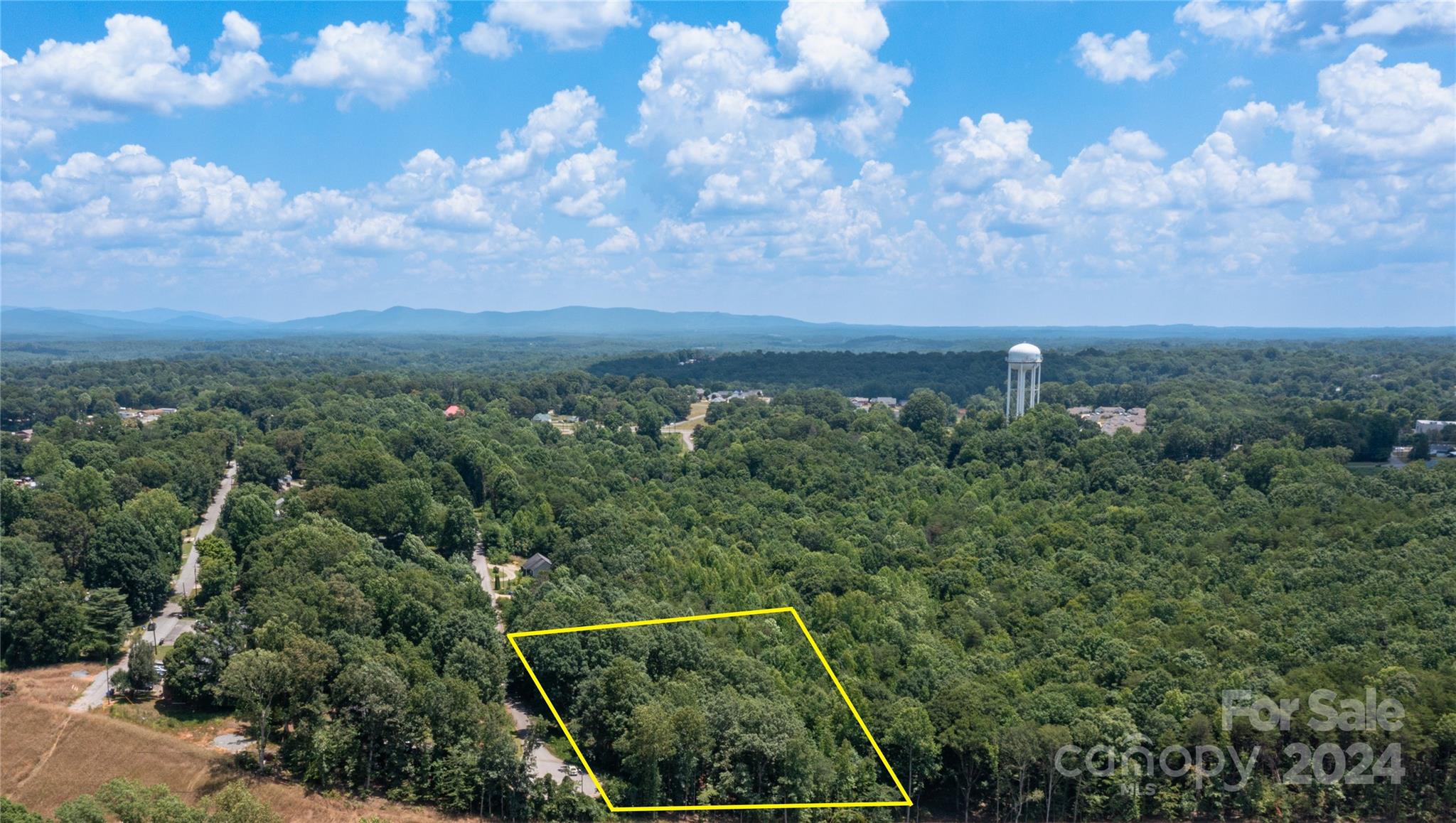 a view of a city with lush green forest