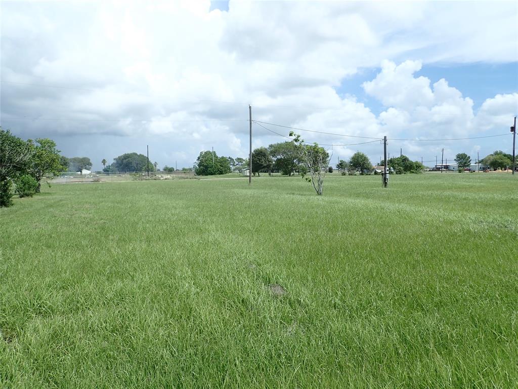 a view of a green field with sky view