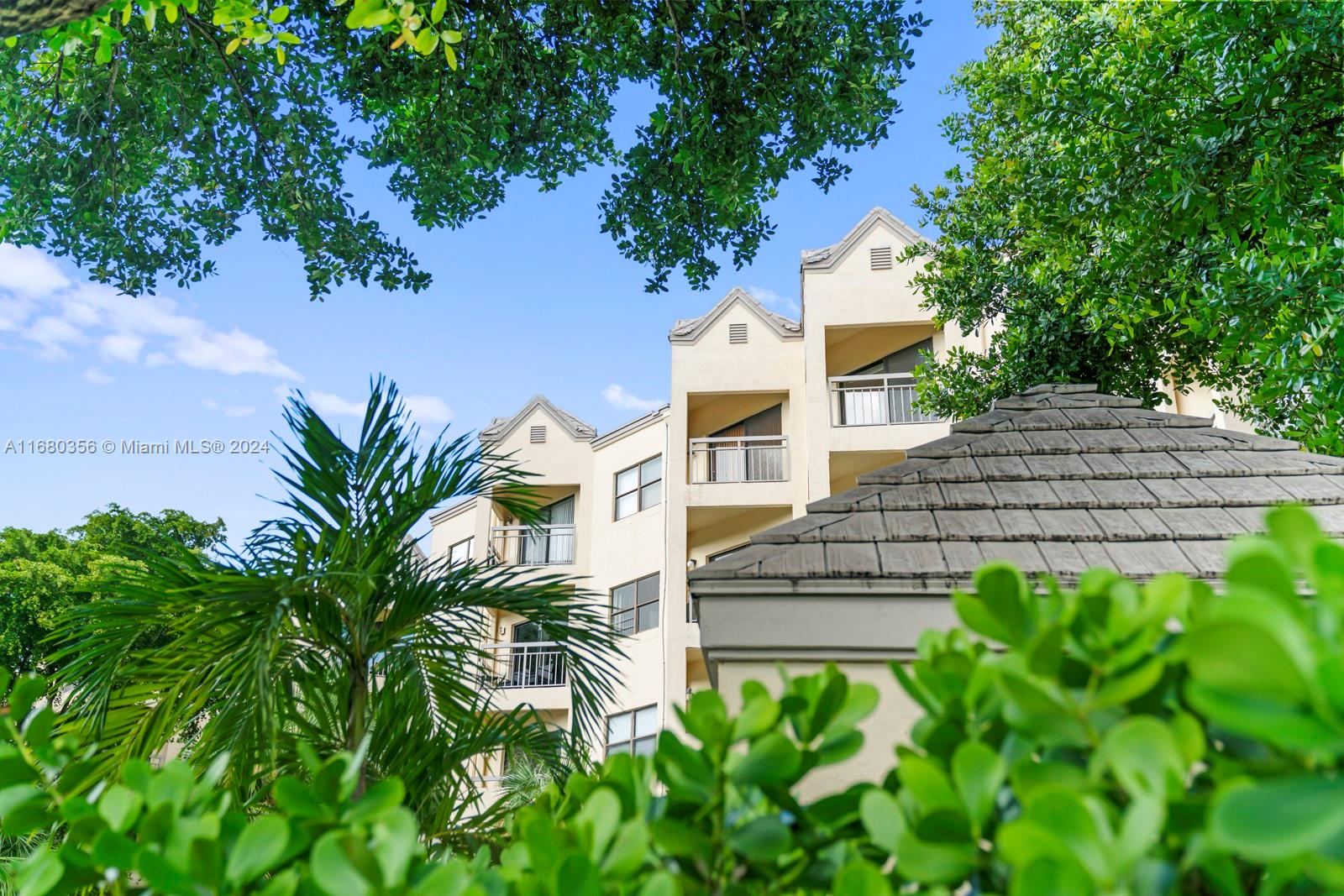 a view of a yard with plants and large trees