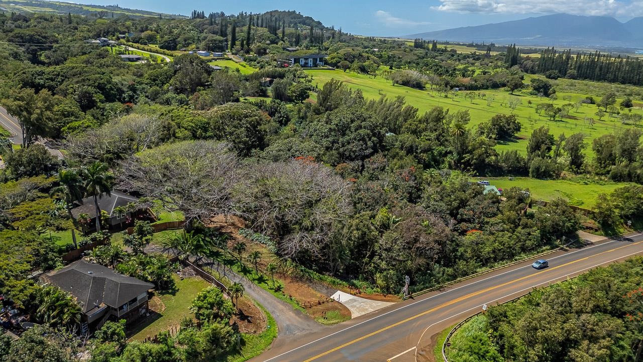 an aerial view of residential house with green space