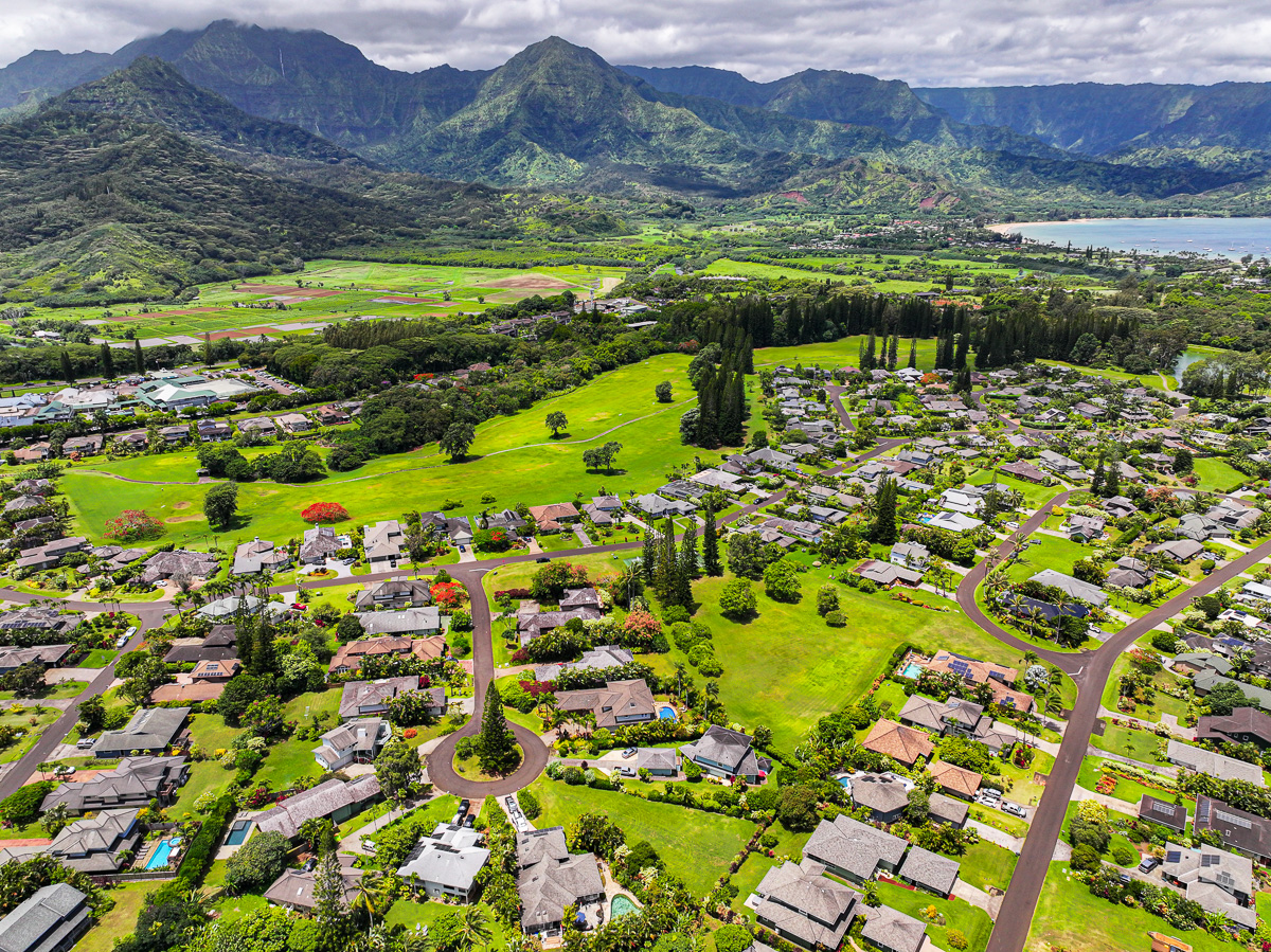 a view of a lush green hillside and houses