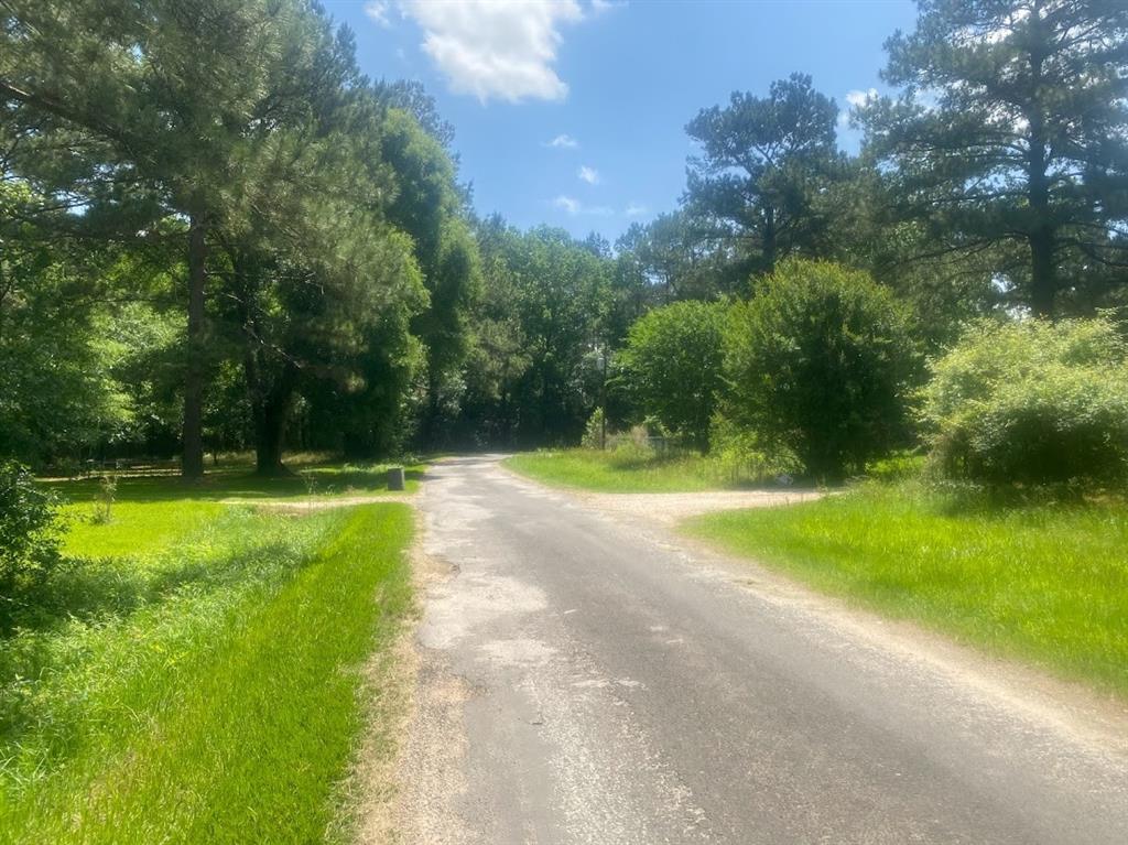 a view of a park with large trees