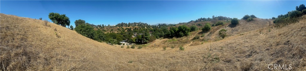 a view of a dry yard with trees in the background