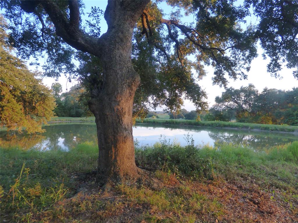 a view of a lake from a yard