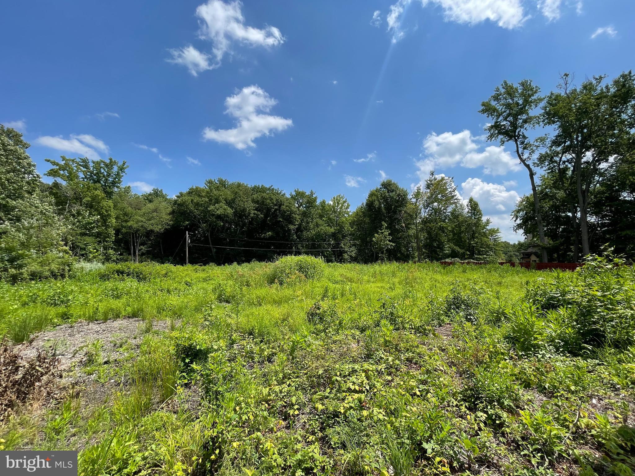 a view of a big yard