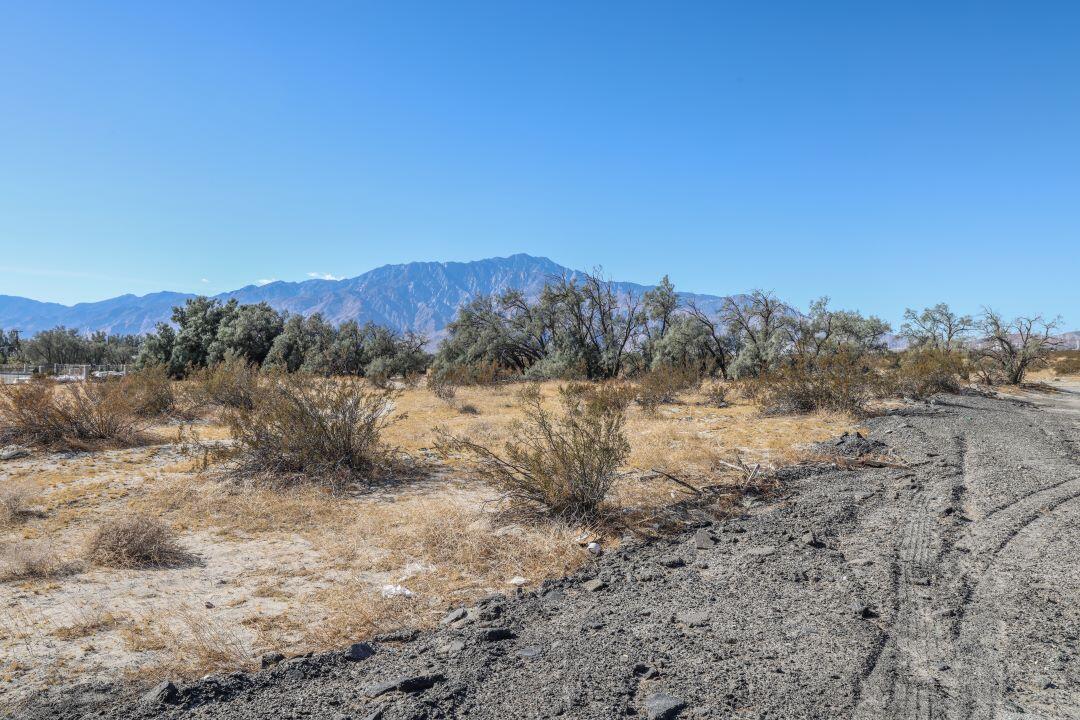 a view of a dry yard with trees