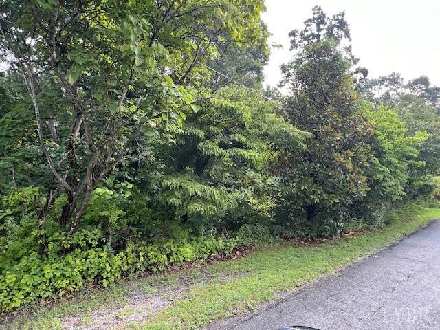 a view of a forest with a tree