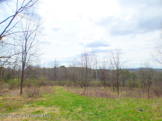 a view of a back yard