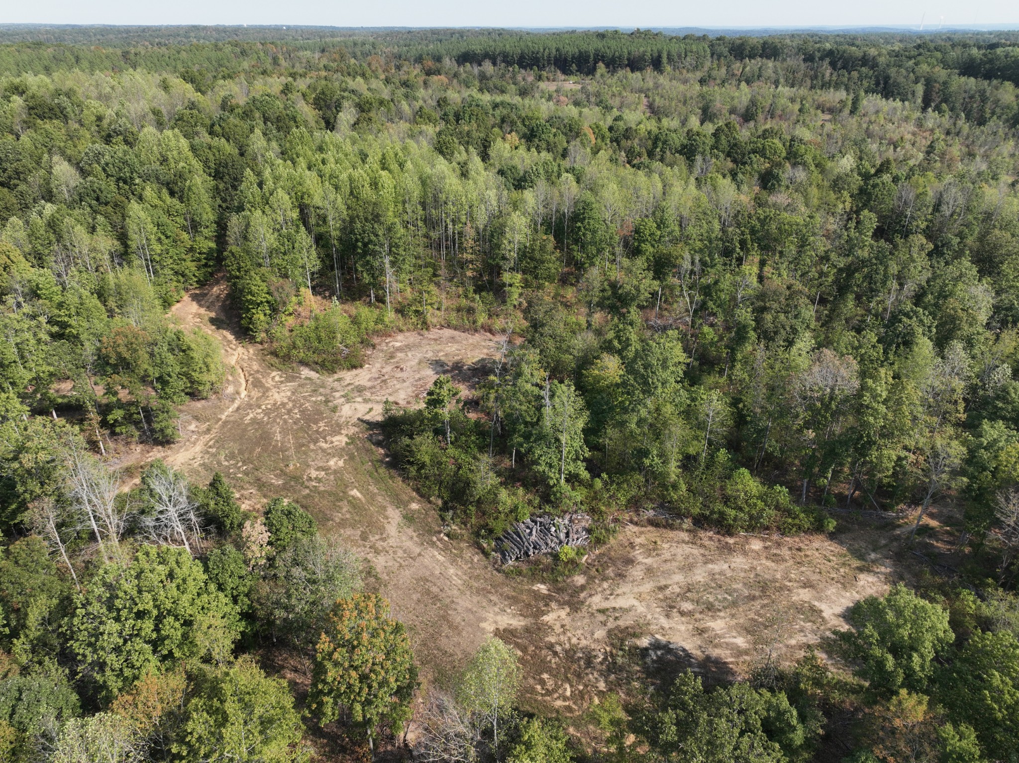 an aerial view of forest