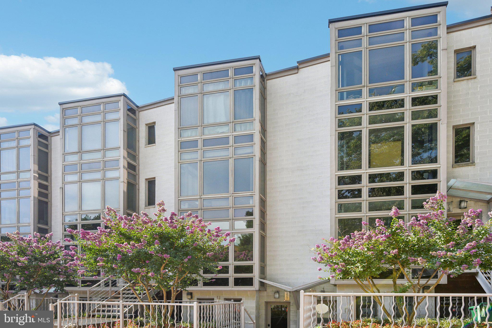 a flower plants in front of a building