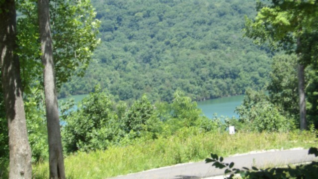 a view of a lake with green field