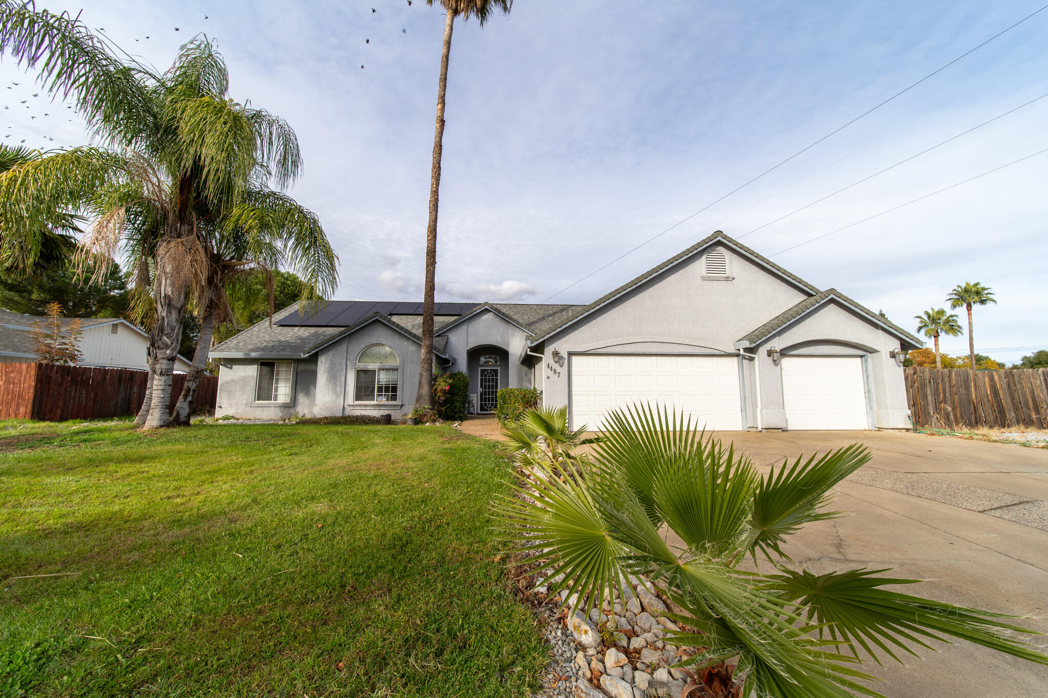 a view of a house with a big yard plants and palm trees