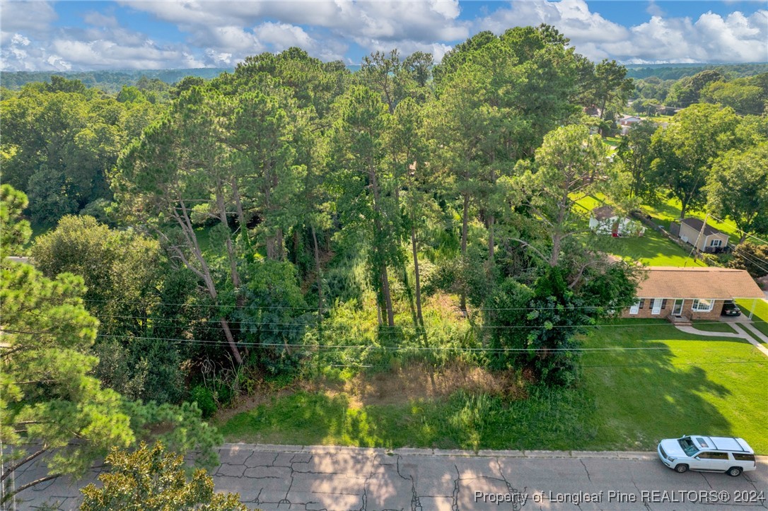 a view of a yard with plants and large trees