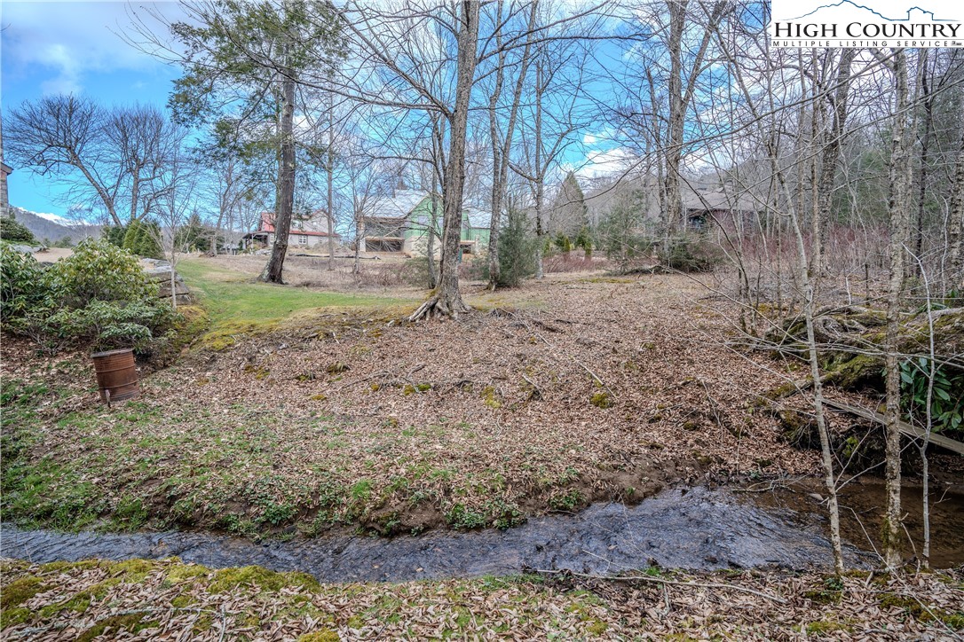 a view of backyard with green space