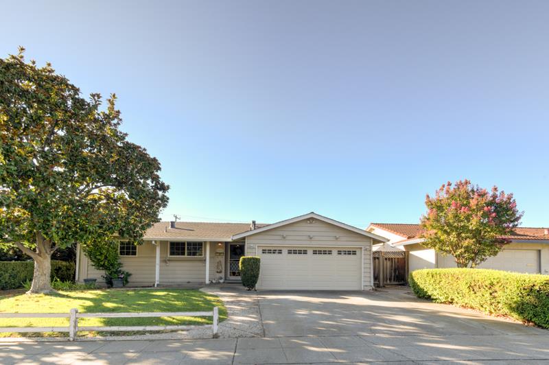 a view of a house with a yard and large tree