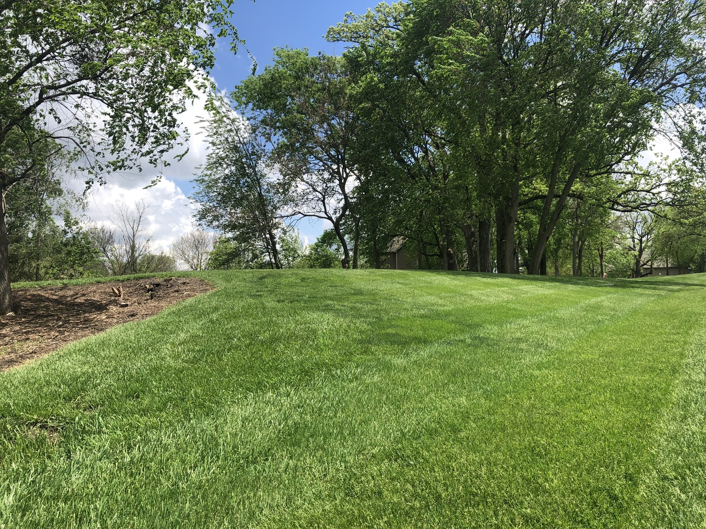 a view of a grassy field with trees