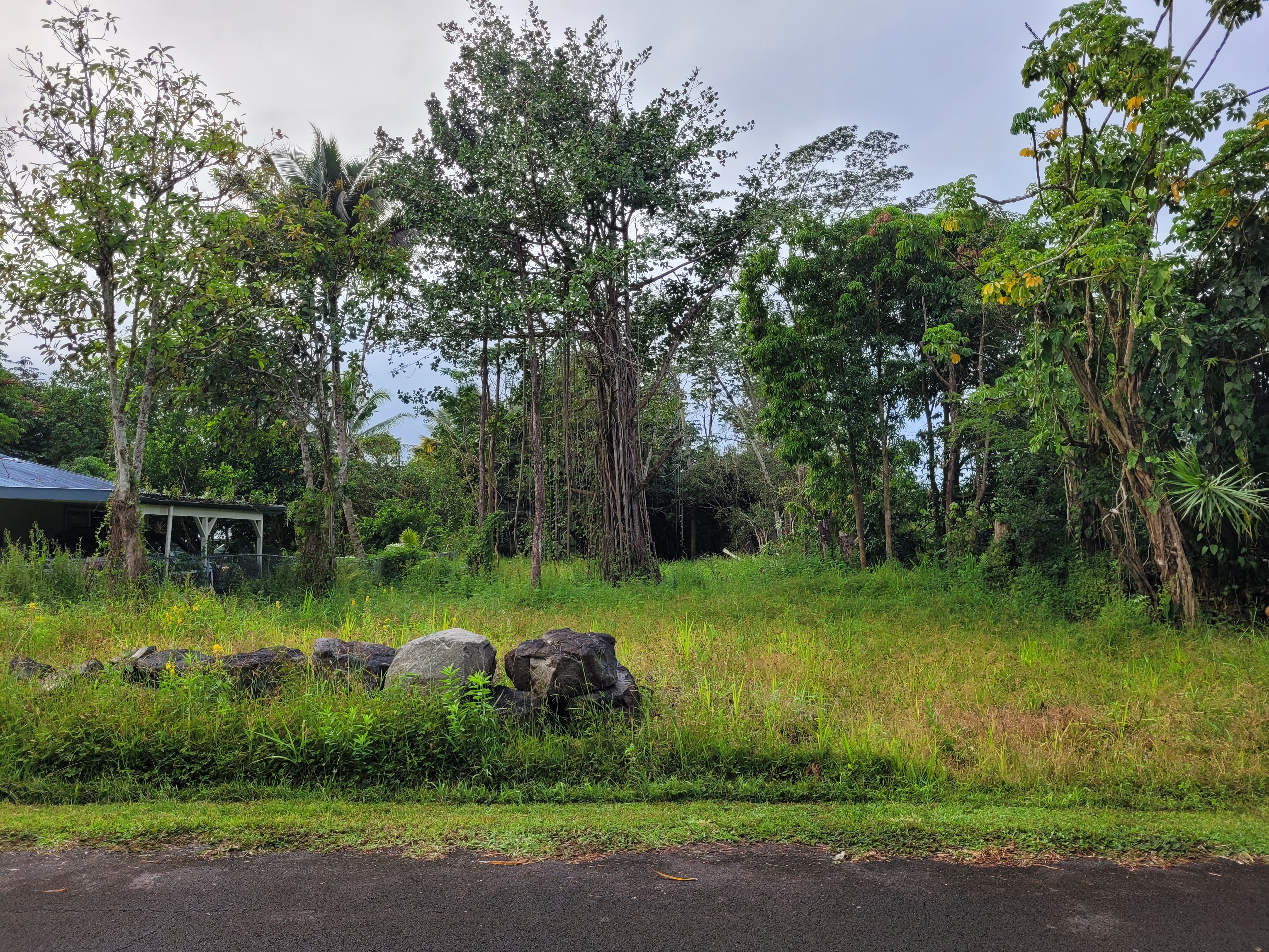 a view of a park