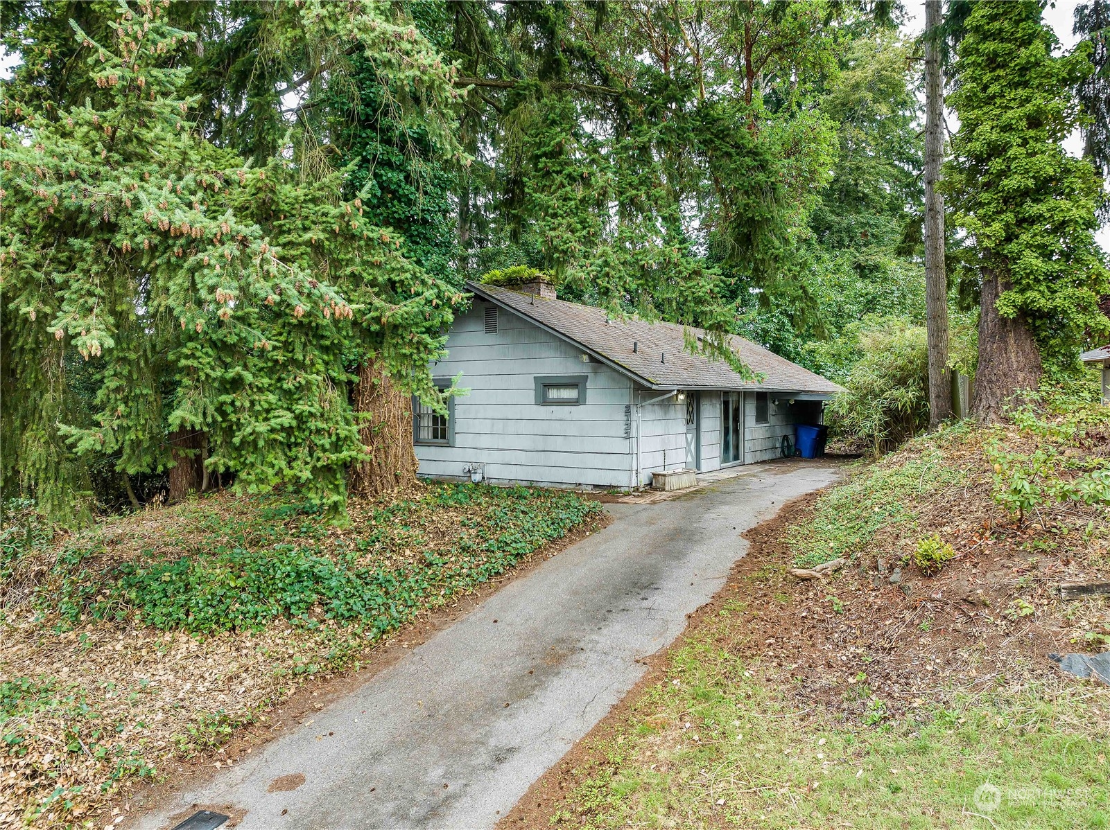 a view of a house with a yard plants and large tree