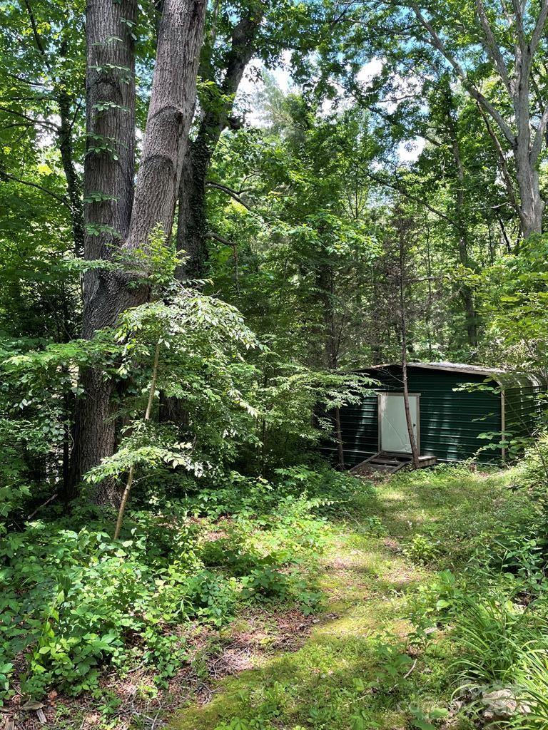 a view of a backyard with potted plants and large trees