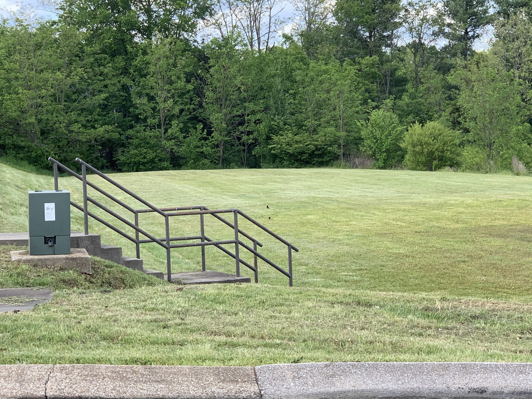 a view of a yard with a sink