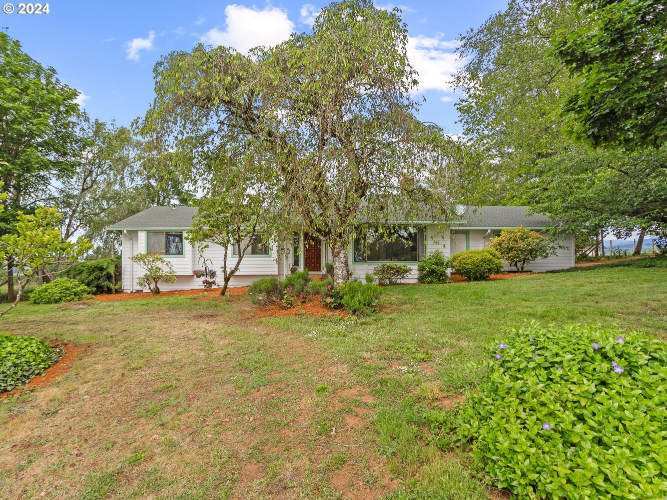 a front view of a house with yard and green space