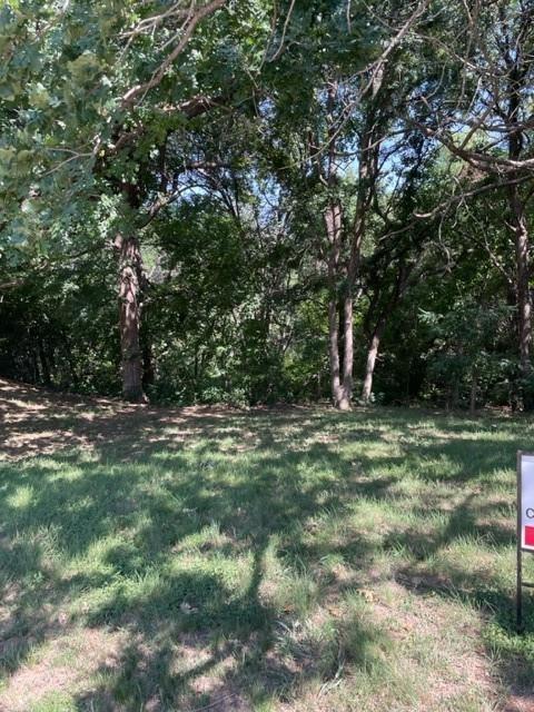 a view of a trees in a yard