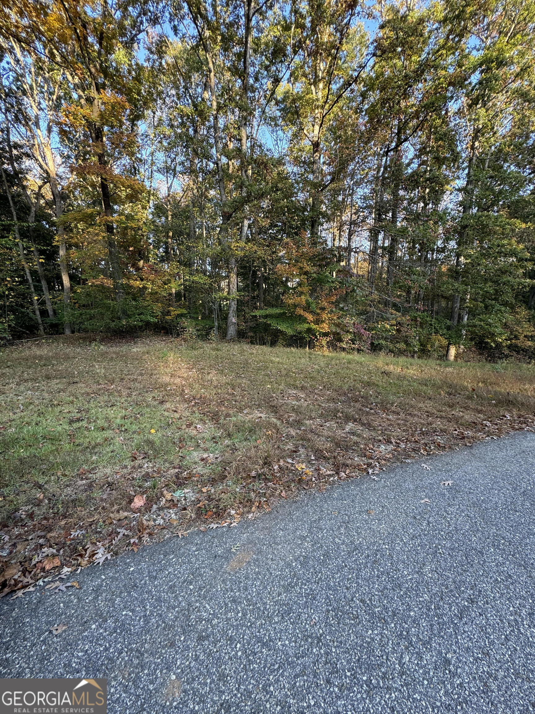 a view of a field with trees in the background