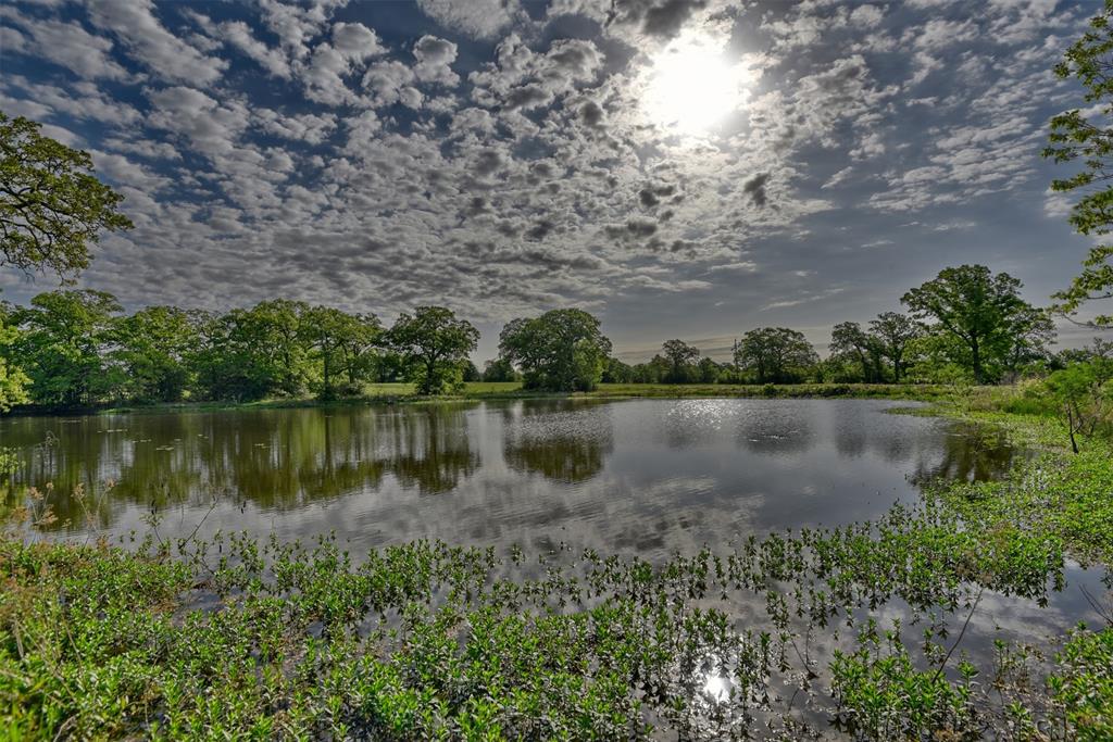 a view of a lake in between two large trees