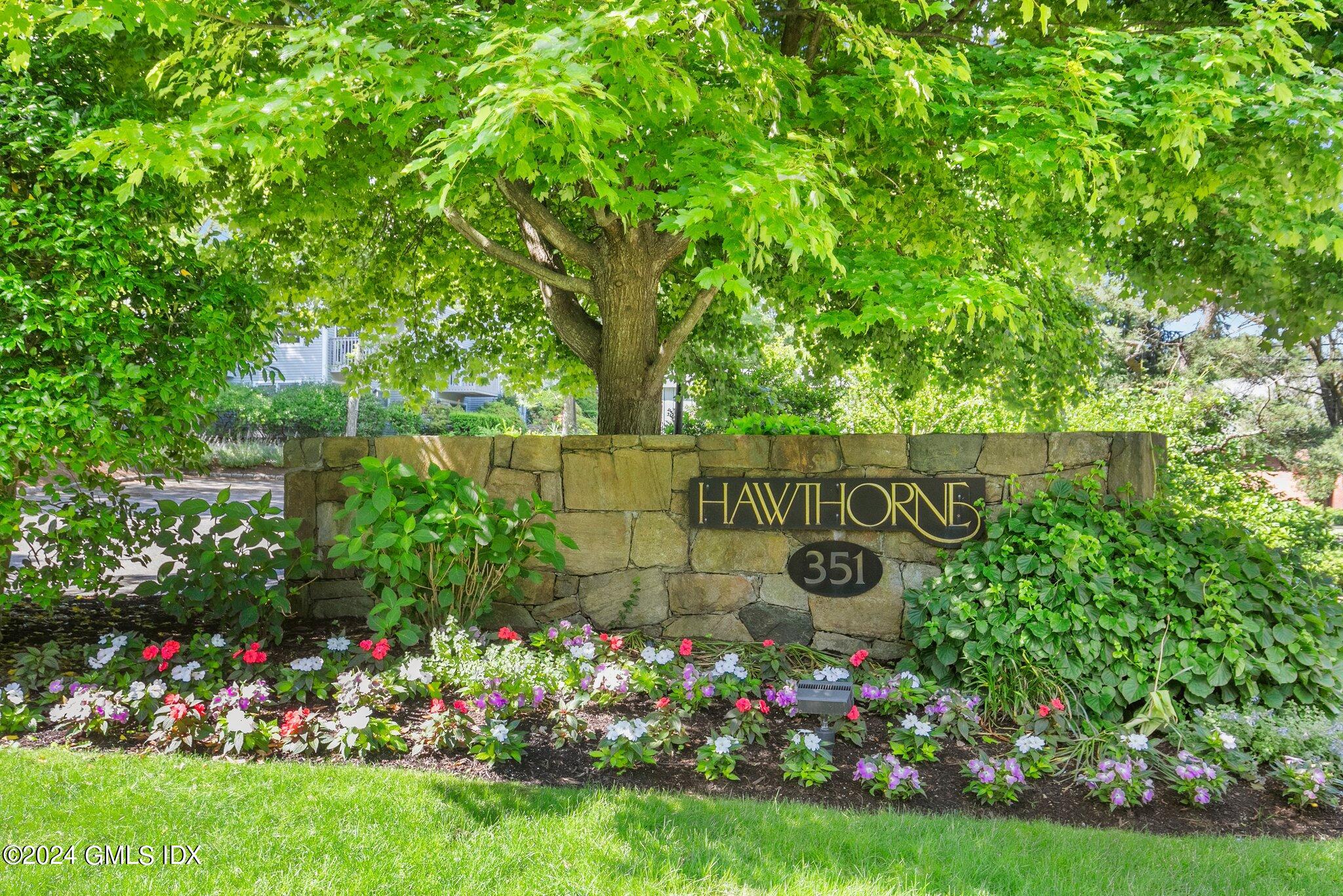 a view of a flowers in a yard