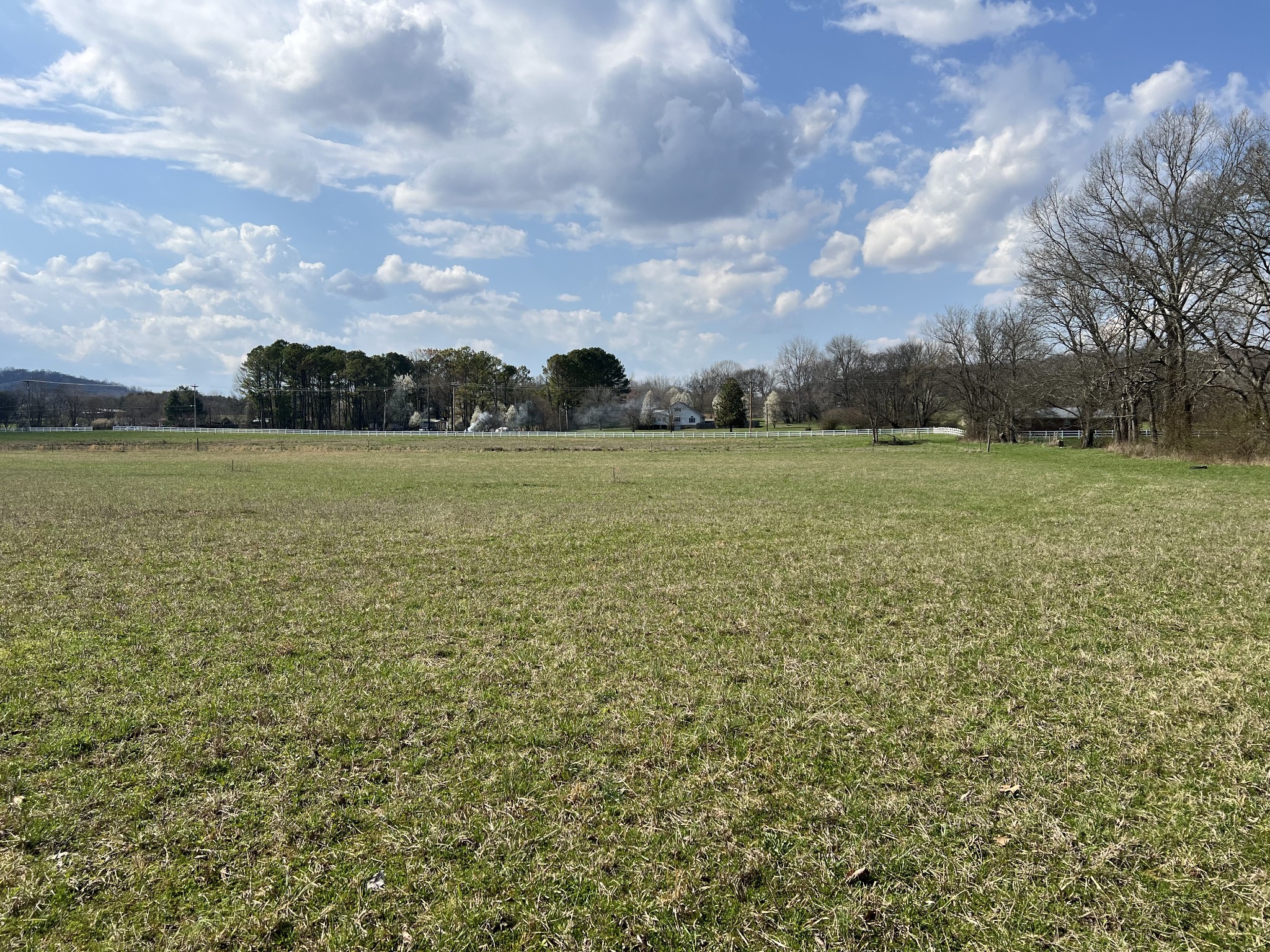 a view of a field with an ocean