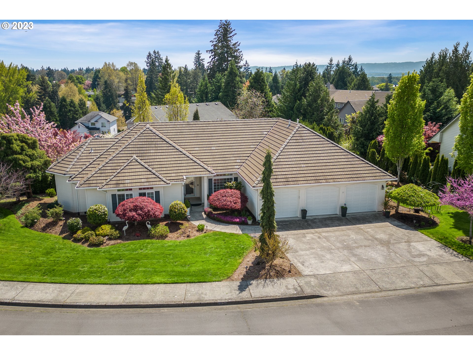 a aerial view of a house with a yard and potted plants