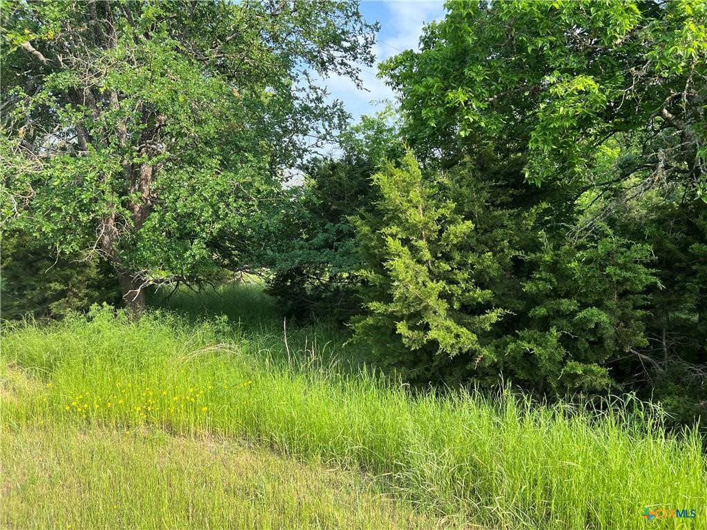 a view of a lake in a green field with plants and large trees