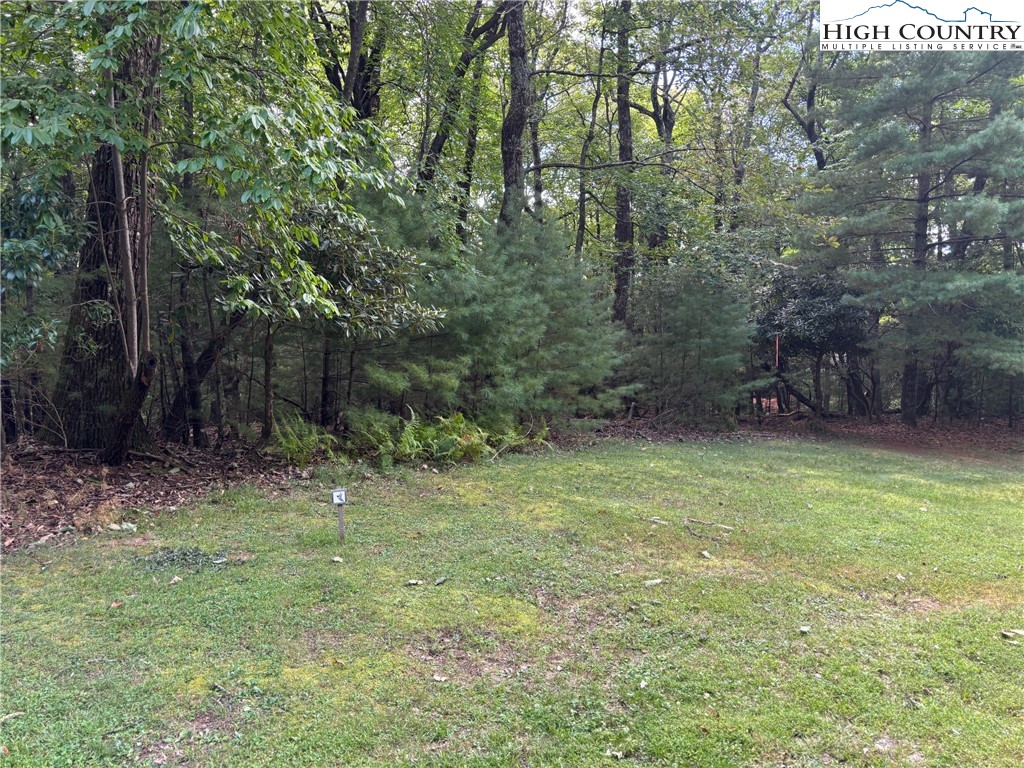 a view of a yard with large trees