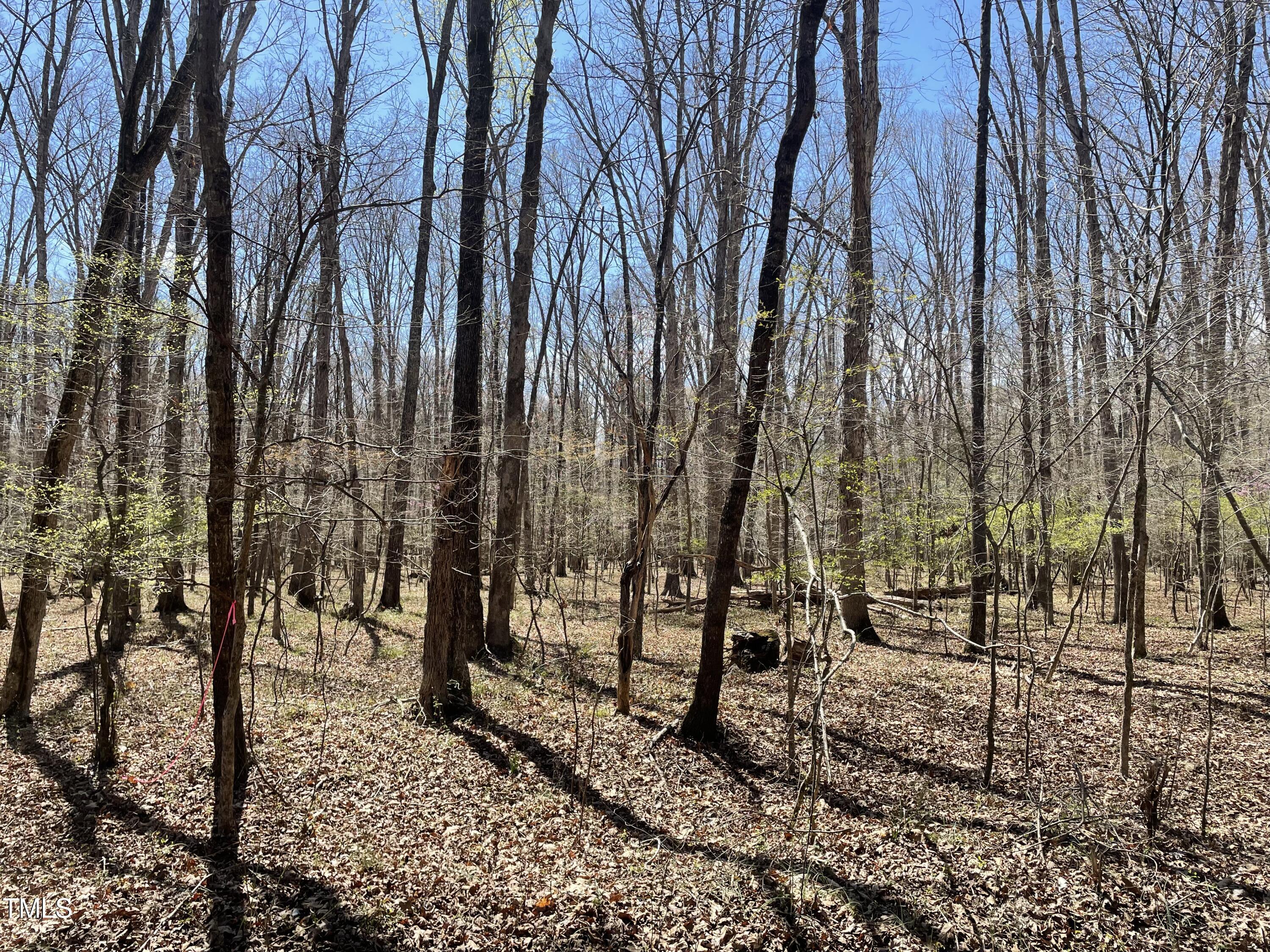 a view of outdoor space with lots of trees