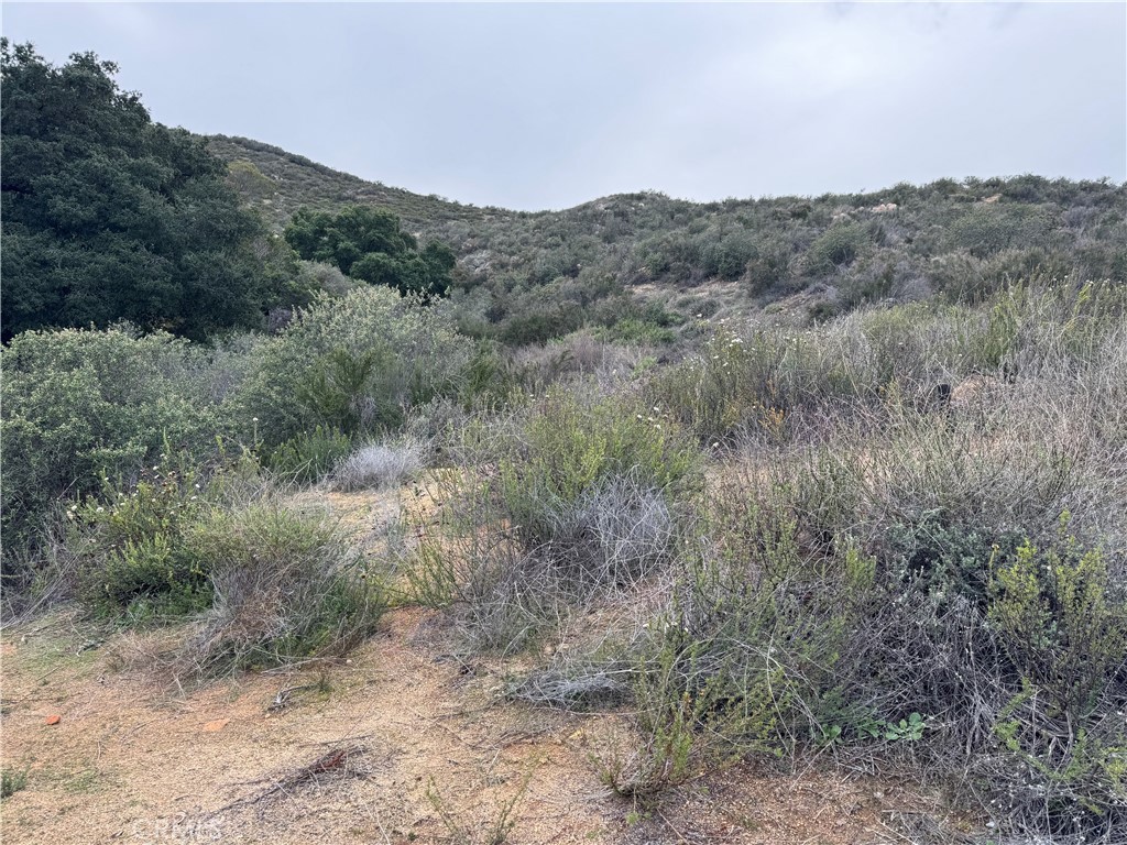 a view of a dry field