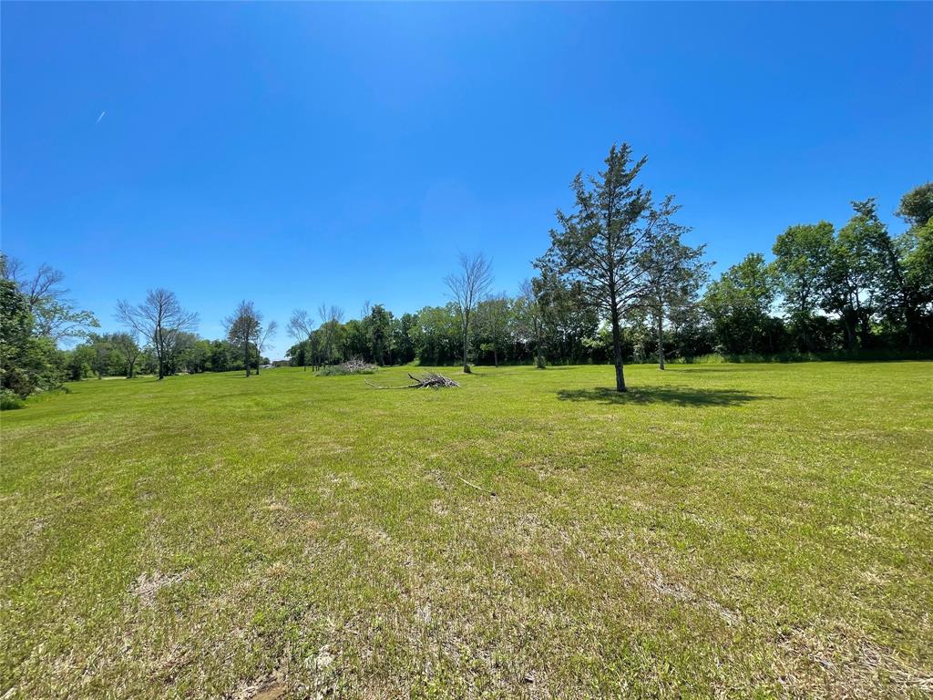 a view of a field with a tree in the background