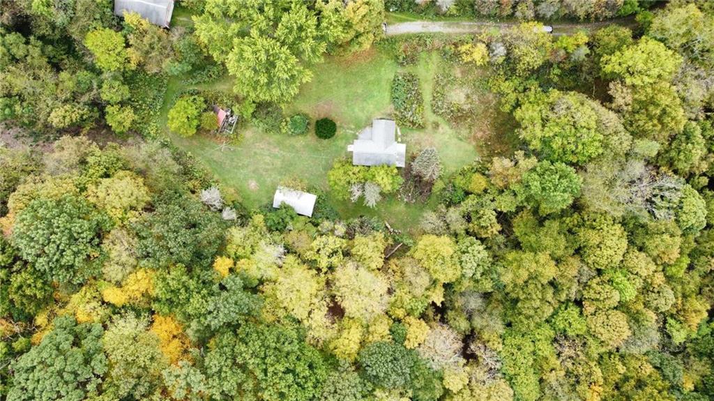 a view of a yard with large trees